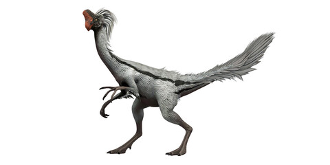 Fototapeta premium Detailed illustration of an oviraptor dinosaur.