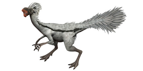 Feathered dinosaur with distinct plumage. © Ilie