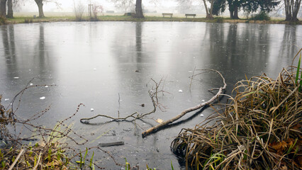Winter nature landscape with frozen lake and leafless trees in fog. Cold misty morning by the water, bare branches reflected in ice, yet green bushes and shrubs adding contrast, quiet seasonal scenery