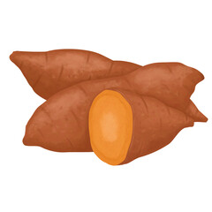 Orange swee potatoes illustration