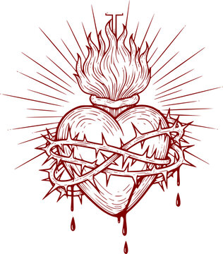 Hand drawn illustration of sacred heart
