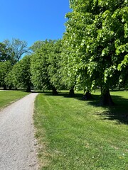Green Park Pathway With Trees on Sunny Day.
Sunny park landscape with green grass, leafy trees and walking path under clear blue sky.