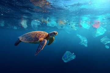 Fototapeta premium Underwater side view of a sea turtle swimming in deep blue water, with several clear and blue plastic bags and bottles floating around and above, depicting pollution.