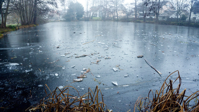 Winter nature landscape with frozen lake and leafless trees in fog. Cold misty morning by the water, bare branches reflected in ice, yet green bushes and shrubs adding contrast, quiet seasonal scenery - Powered by Adobe
