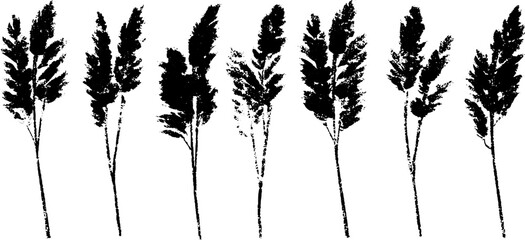 Monochrome stencil illustration of cut reed stalks for natural design and decoration