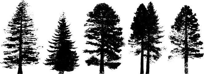 Black and white stencil illustration of deep forest tree trunk silhouettes