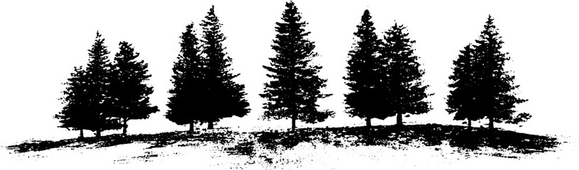 Black and white illustration of pine trees with long shadows