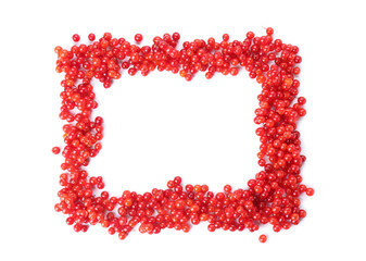 Frame made of fresh viburnum berries on white background