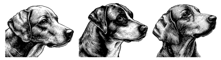 Dog heads in a vintage woodcut style black and white