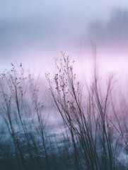 Fototapeta premium A Serene Mist Over Gentle Grasslands in Soft Purple Hues Captivating the Tranquility of Nature's Morning Light