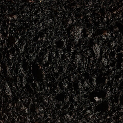 Isolated slice of burnt toast closeup