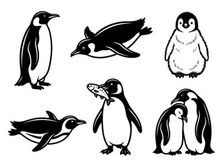 Collection of Penguin Illustrations in Realistic Line Art Style