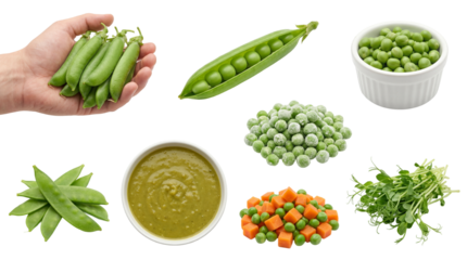 set of green peas in different forms, including pods, soup and shoots, isolated on a transparent background