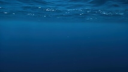 Deep Ocean Mystery: An immersive visual experience into the fathomless depths, capturing the mystical allure of the underwater world with its gradient blue tones and subtle light interaction.