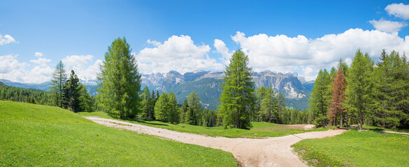 idyllic green spring landscape south tyrol, hiking trail Heiligkreuzkofel, larch trees