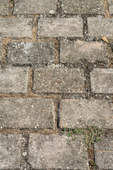 Fototapeta premium Old stone road, a beautiful background for the designer with empty space. Vertical photo