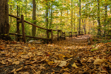 Wooden fence along a quiet forest path covered with fallen autumn leaves, surrounded by trees in warm seasonal colors. Peaceful nature scene ideal for backgrounds and outdoor themes.
