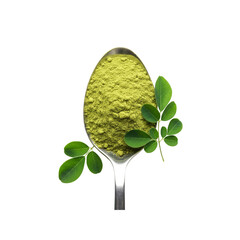 Moringa powder with leaves in spoon