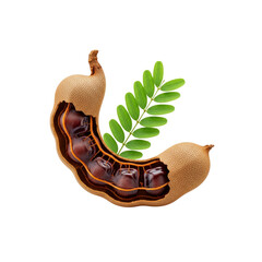 Tamarind with leaves on Transparent Background