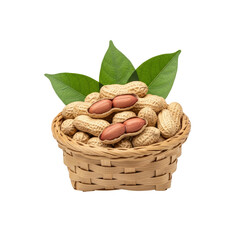 Peanuts in basket with peanut plant leaves