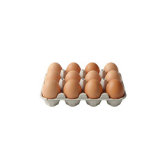 A dozen eggs in carton on Transparent Background