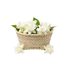 Jasmine flowers in a woven basket