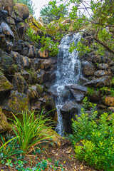 Scenic waterfall cascading over rocks in a green forest. Calm autumn atmosphere and outdoor background.