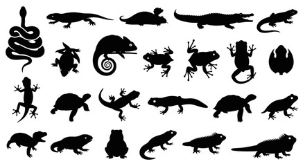 A collection of black silhouettes depicting various reptiles and amphibians such as snakes, lizards, frogs, turtles, and alligators on a white background.