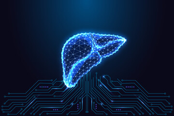 Digital Liver Anatomy Over Circuit Board. Futuristic Healthtech and Medical Technology Vector