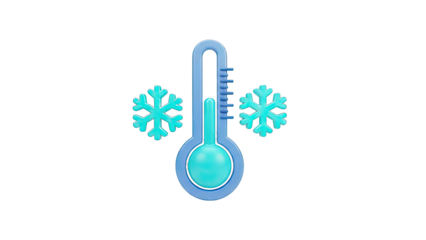 Thermometer and Snowflakes Icon