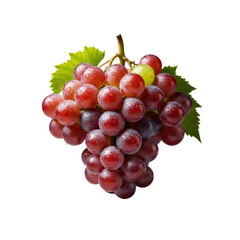 Fototapeta premium Red grapes with leaves and water drops isolated