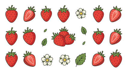 Strawberry Fruit Vector Collection with Slices, Flowers and Leaves