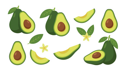 Avocado Illustration Set with Whole Halves Slices and Leaves in Flat Style