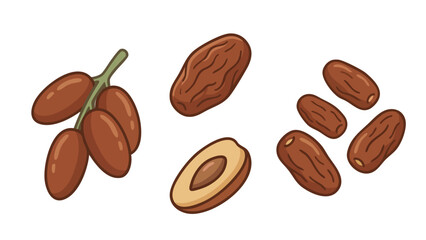 Dates Illustration Set with Whole Fruit Sliced Dates and Date Cluster