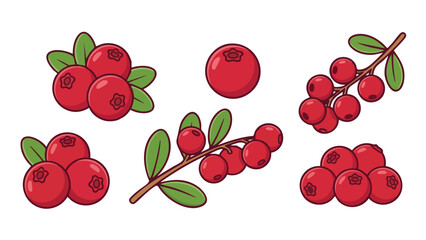 Cranberry Illustration Set with Berries Clusters Branches and Leaves