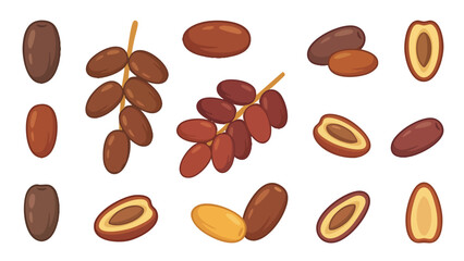 Dates Illustration Collection with Whole Fruit Sliced Dates and Date Branches