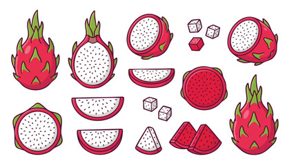 Dragon Fruit Illustration Set with Whole Fruit Slices and Cubes