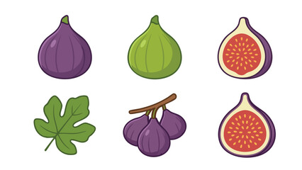 Fig Fruit Illustration Set with Whole Fruit and Slices