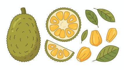 Jackfruit Illustration Set with Whole Fruit, Slices, Flesh and Leaves