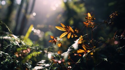 Sunlit autumn foliage with vibrant orange leaves shimmering in early morning light