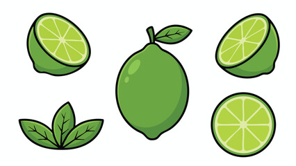 Lime Fruit Illustration Set with Whole, Slices and Leaves