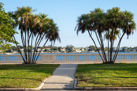 Bayshore Boulevard in Tampa Bay, Florida