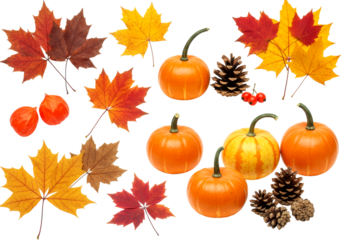 Autumn pumpkins, colorful leaves, pinecones, and berries create a vibrant and festive display of natural elements, perfect for seasonal designs.