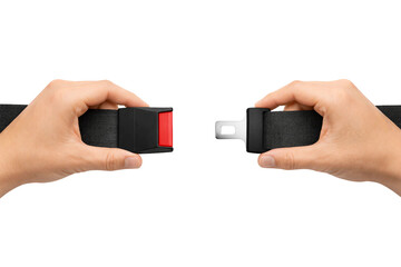 Hands Holding Seat Belt Buckle Before Fastening