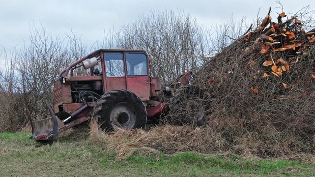 Old Heavy Duty Forestry Landscaping Bulldozer Tractor with Rusted Chassis and Mud Tread Tires