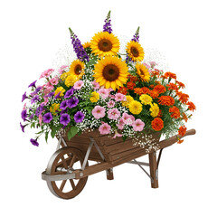 Vibrant flowers in a rustic wooden wheelbarrow on white background, isolated