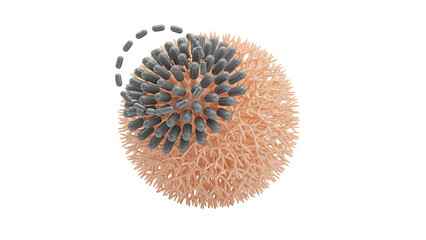 Drug Delivery Nanoparticle with Capsule-like Structures