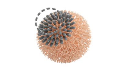 Drug Delivery Nanoparticle with Capsule-like Structures