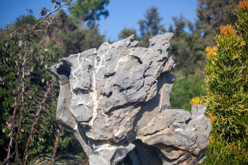 Nature Park Collection featuring Red Canna Lilies, Pond Turtles, Murky Water Reflections, and Weathered Tree Bark Textures.