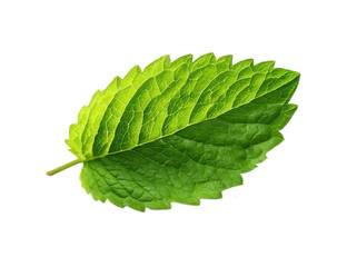 Fototapeta premium Close-up of a vibrant green mint leaf on a white background.